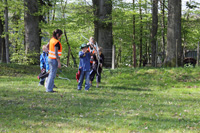 Zufallsbild