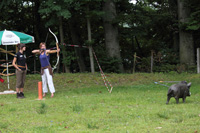 Zufallsbild